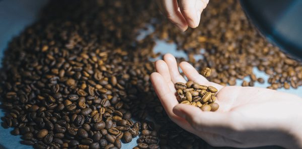 Specialty coffee - cà phê đặc sản