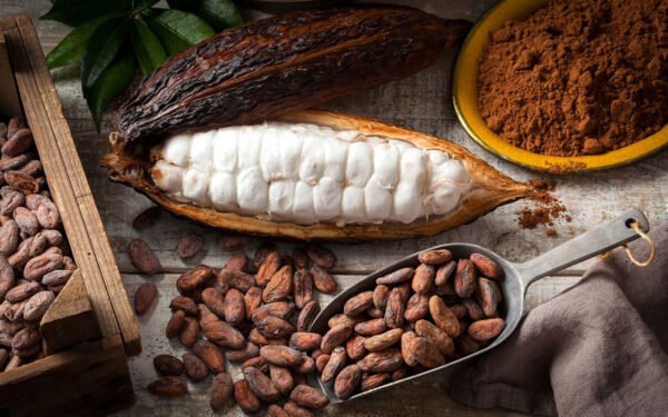 lợi ích của cacao