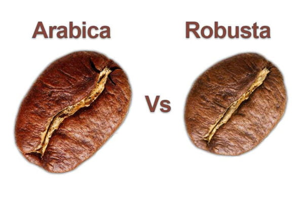 cách nhận biết cà phê robusta nguyên chất! 1