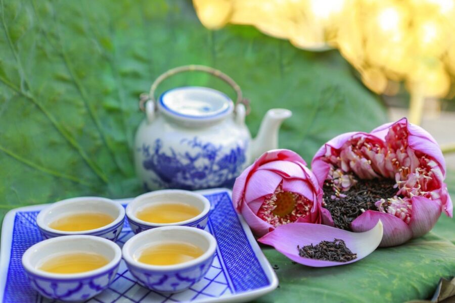 các loại trà ngon khó cưỡng đáng để bạn nếm thử tra sen ho tay